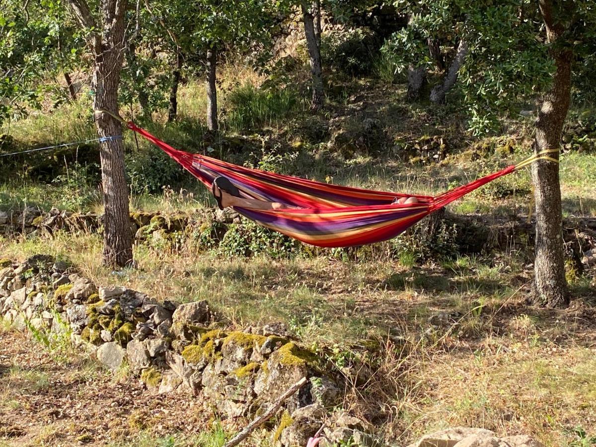 Ribes - Chalet Gite Au Coeur De La Nature Βίλα Sournia Εξωτερικό φωτογραφία