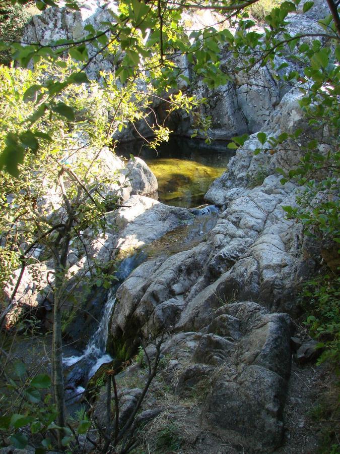 Ribes - Chalet Gite Au Coeur De La Nature Βίλα Sournia Εξωτερικό φωτογραφία