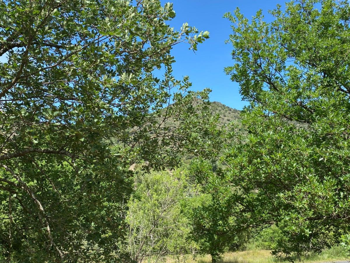 Ribes - Chalet Gite Au Coeur De La Nature Βίλα Sournia Εξωτερικό φωτογραφία